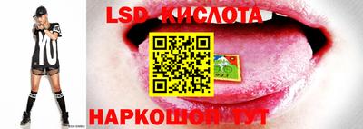 молекула духа Кимры
